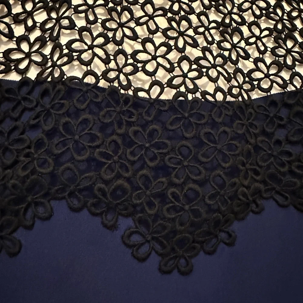 3.1 Phillip Lim cream and navy silk mini dress with black floral overlay- size 8 - Picture 7 of 12